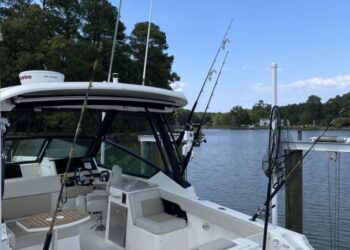 Boston Whaler 280 Vantage, EMMA GRACE 39